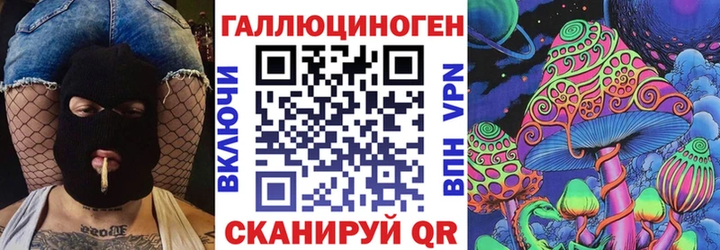 Псилоцибиновые грибы Psilocybe Мантурово